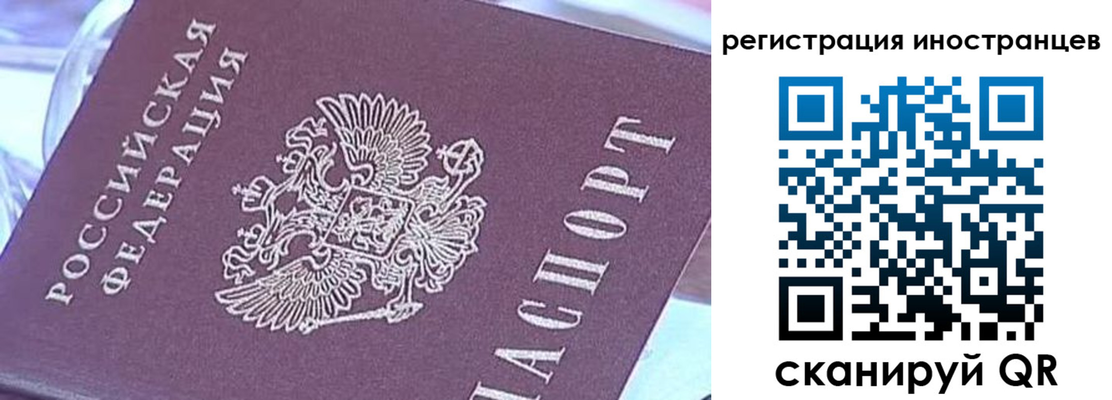 прописка для работы в Кораблино
